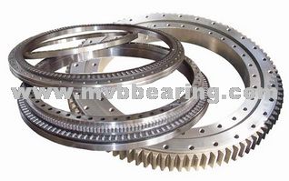 Slewing Ring Bearings