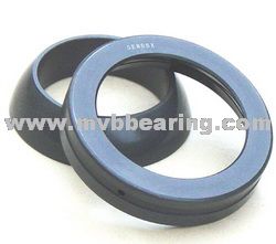 Angular Contact Plain Bearings