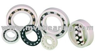 Plastic Ball Bearings