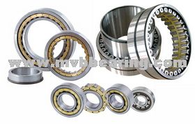 Cylindrical Roller Bearings