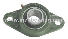 Oval 2-Bolt Flange Units