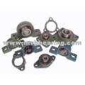 Cast Iron Bearing Units