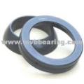 Angular Contact Plain Bearings