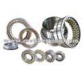 Cylindrical Roller Bearings